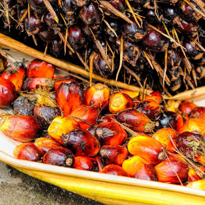 Palm Oil Investigations Audit  Update - Santos Organics