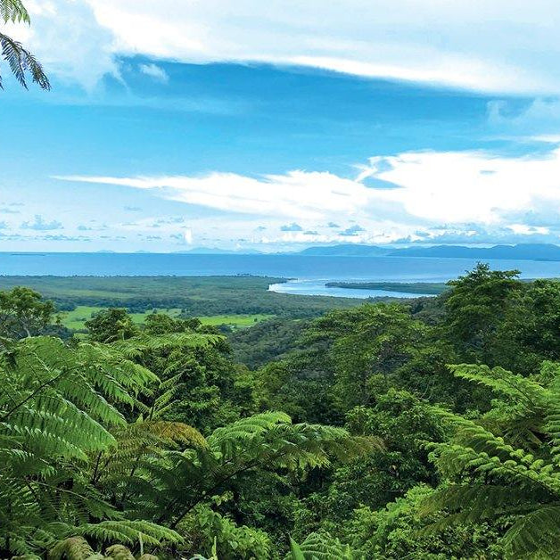 Protecting vital rainforest regions - Santos Organics