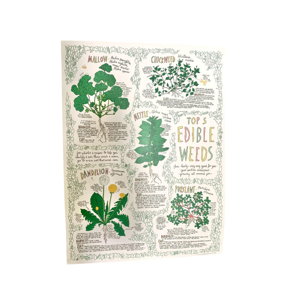 Edible Weeds Poster Annie Raser-Rowland