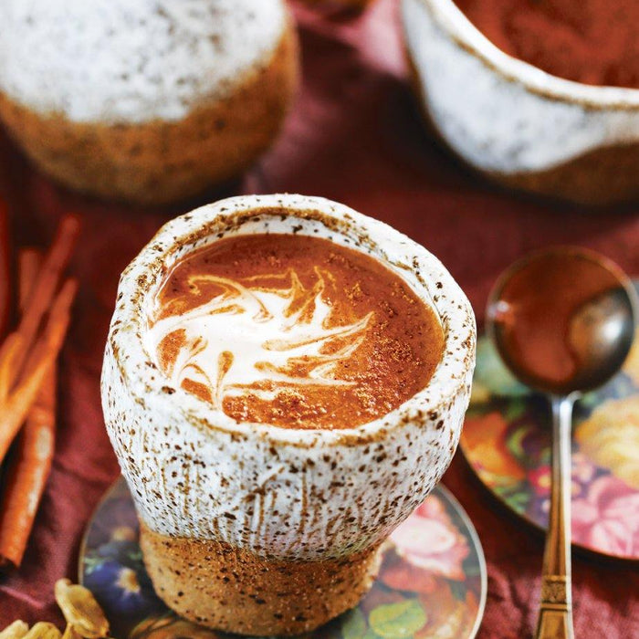 Spicy Cardamom & Reishi Hot Chocolate - Santos Organics
