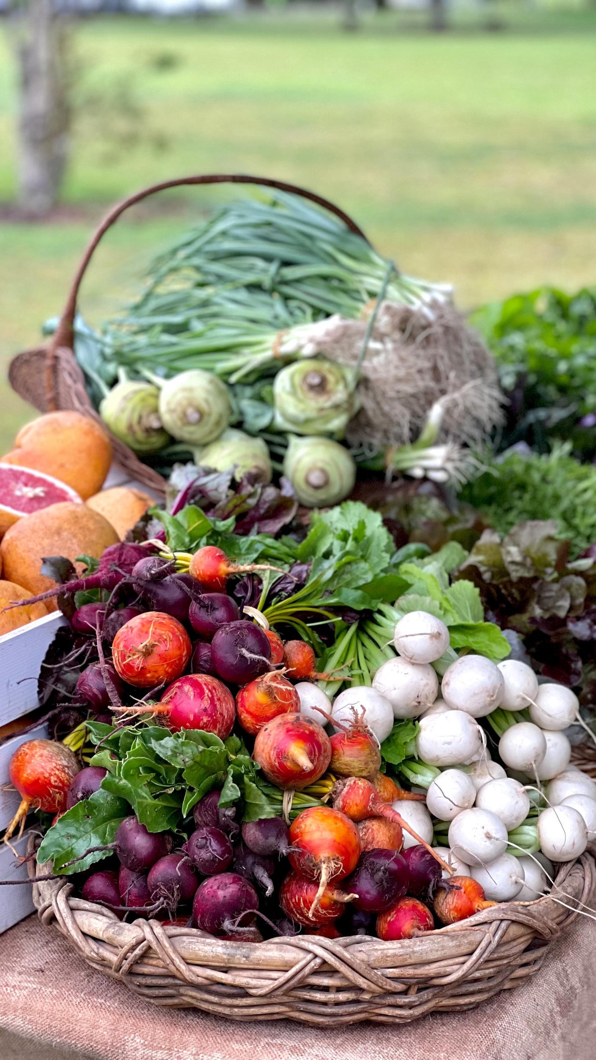 Organic Awareness Month — Santos Organics