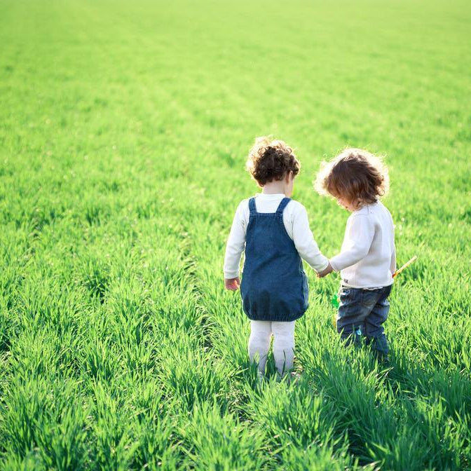 Naturopathic Hay Fever and Allergy Treatment - Santos Organics