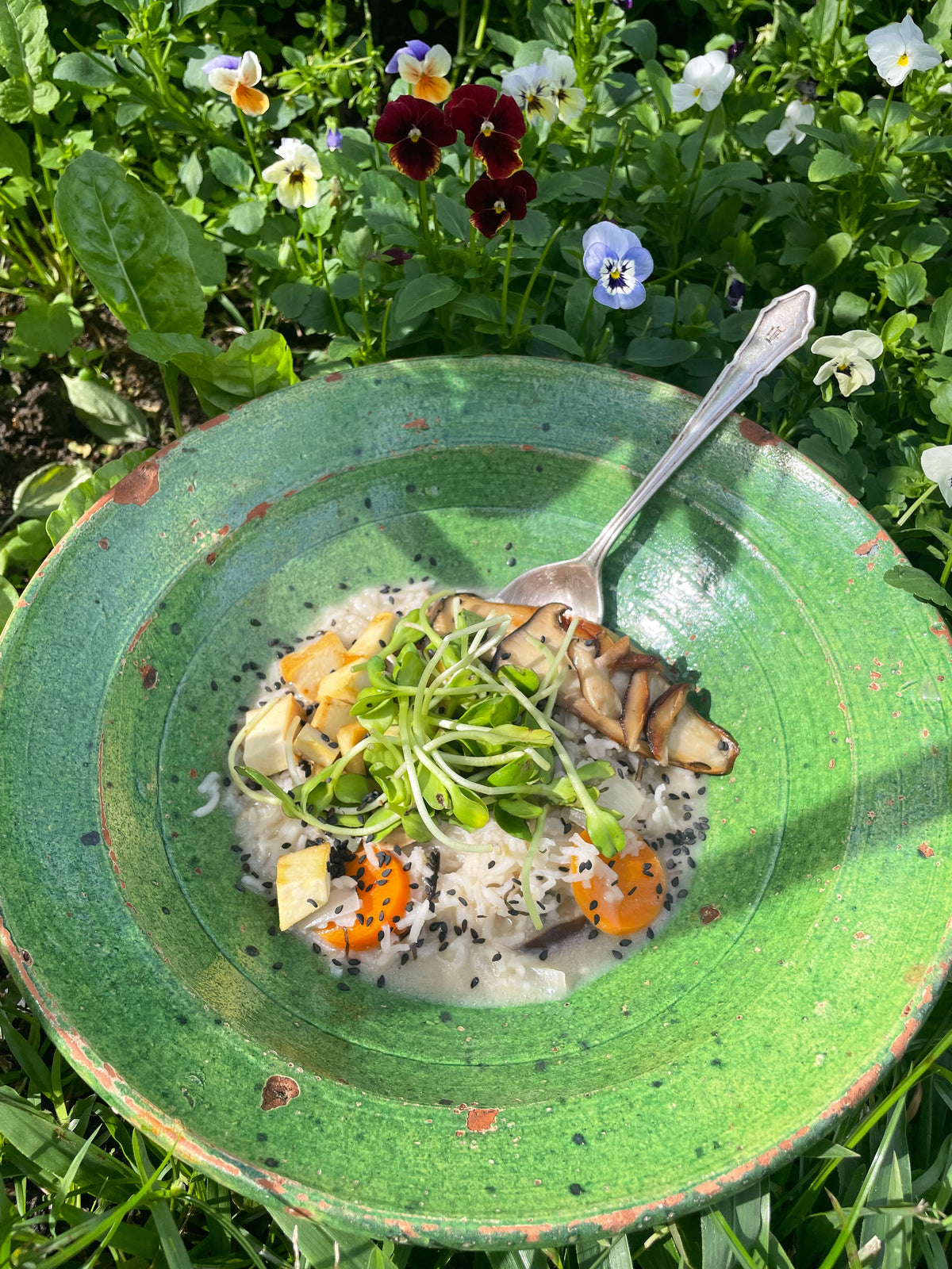 Healing Shiitake Mushroom Congee — Santos Organics