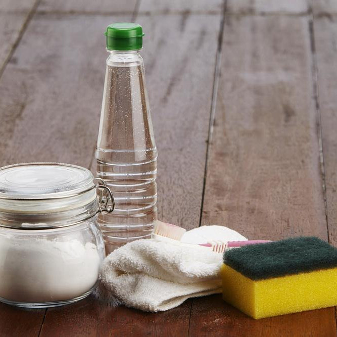 Natural Ways of Combatting Mould in the Home - Santos Organics
