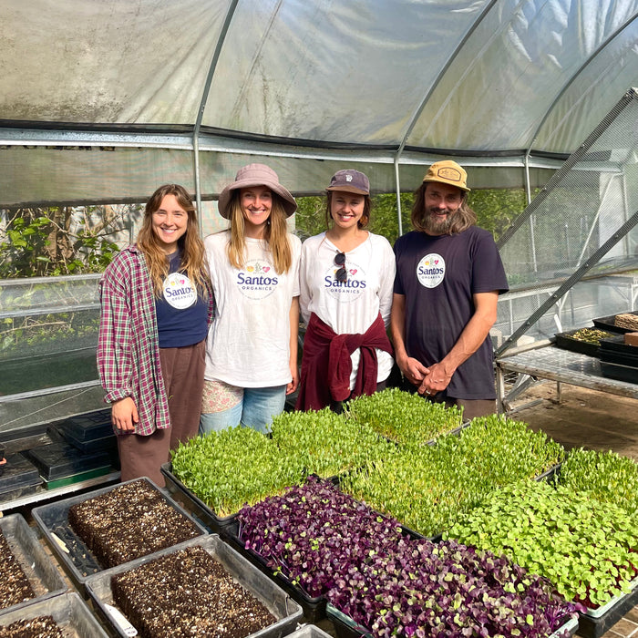 Santos Organics Volunteer Day at Green Goddess Farm