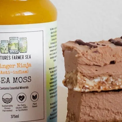 Raw Vegan Chocolate Cheesecake with Sea Moss