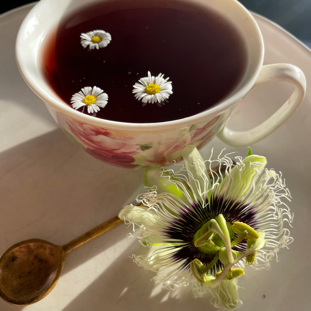 Tonics and Elixirs — Santos Organics