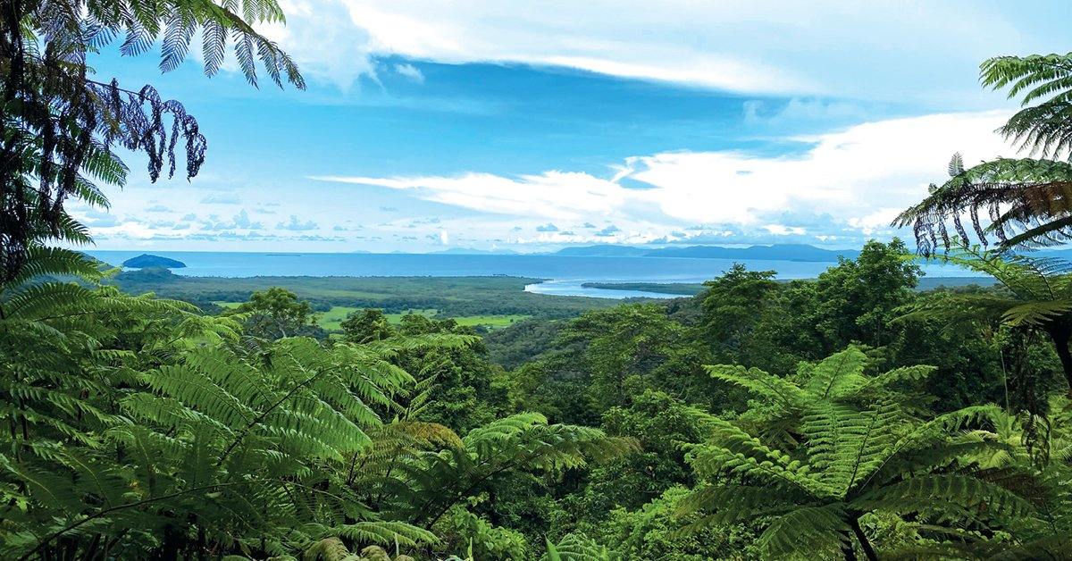Protecting vital rainforest regions - Santos Organics
