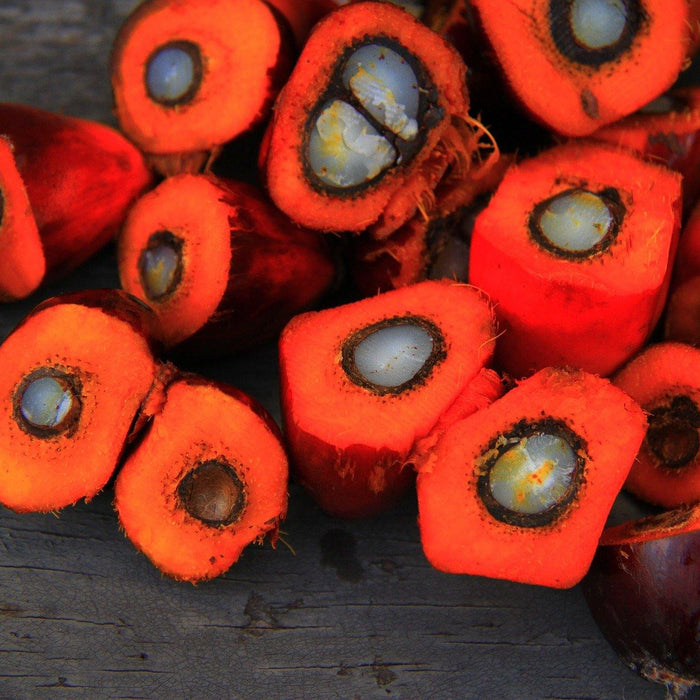 Palm Oil and What You Need to Know! - Santos Organics