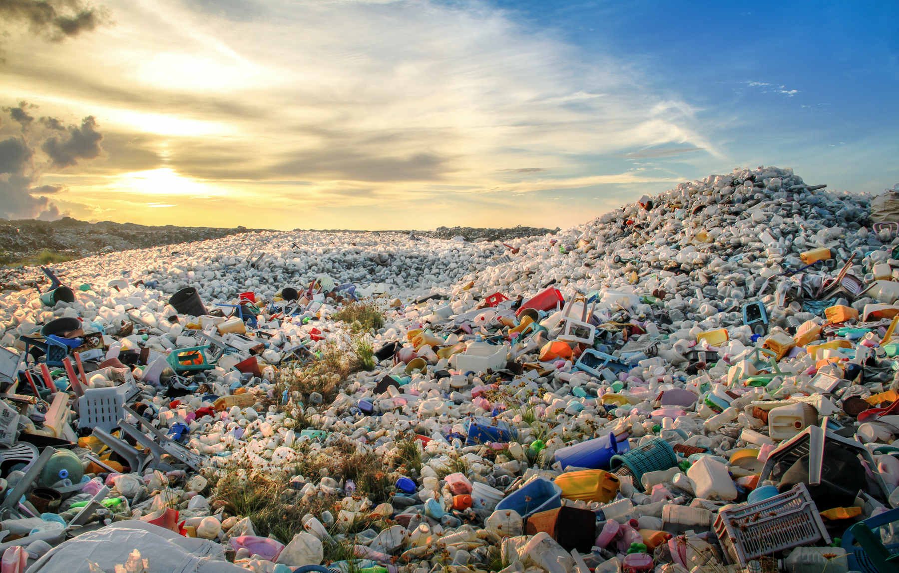Eco-Friendly Plastics – The Differences Explained - Santos Organics