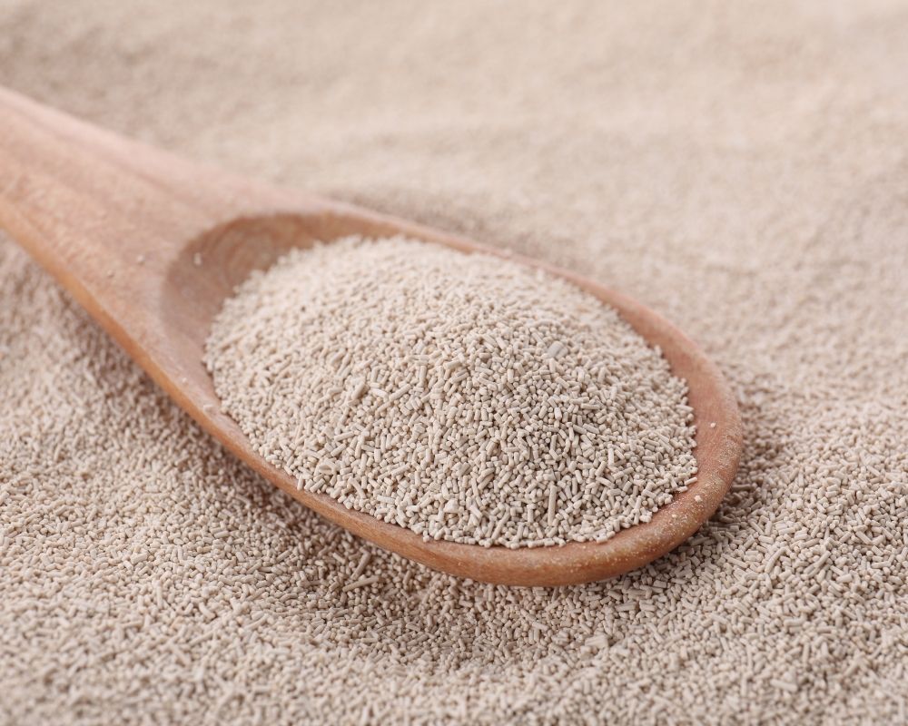 Why Serious Home Bakers Are Switching to Organic Yeast (And What's Actually in the Conventional Stuff)
