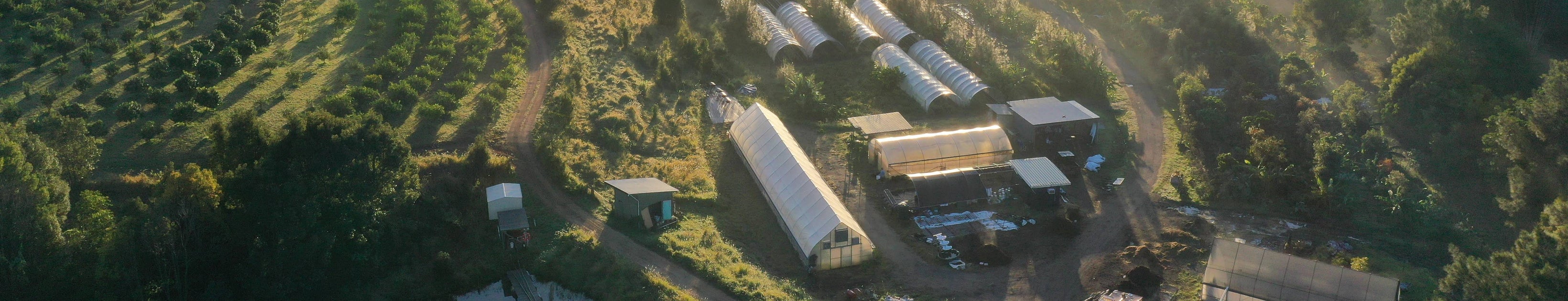 Santos Organics and Conscious Ground