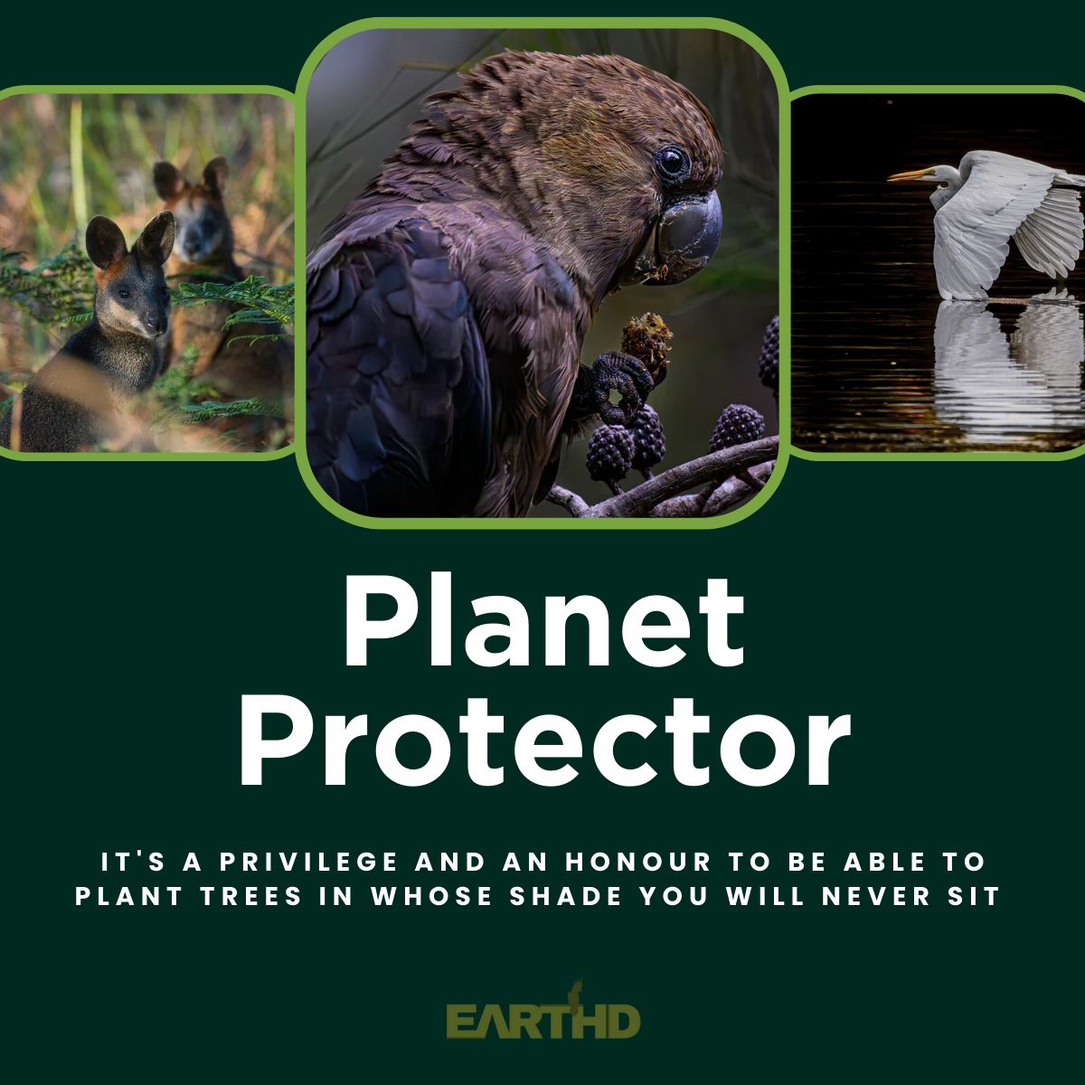 EARTHD Member | Planet Protector