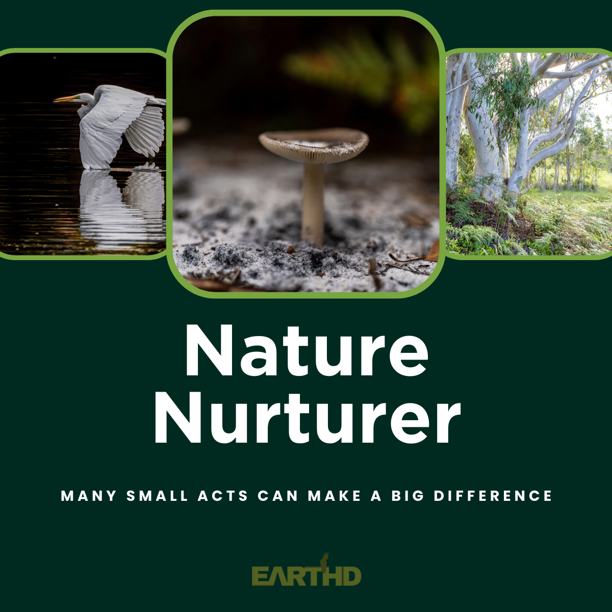 EARTHD Member | Nature Nurturer