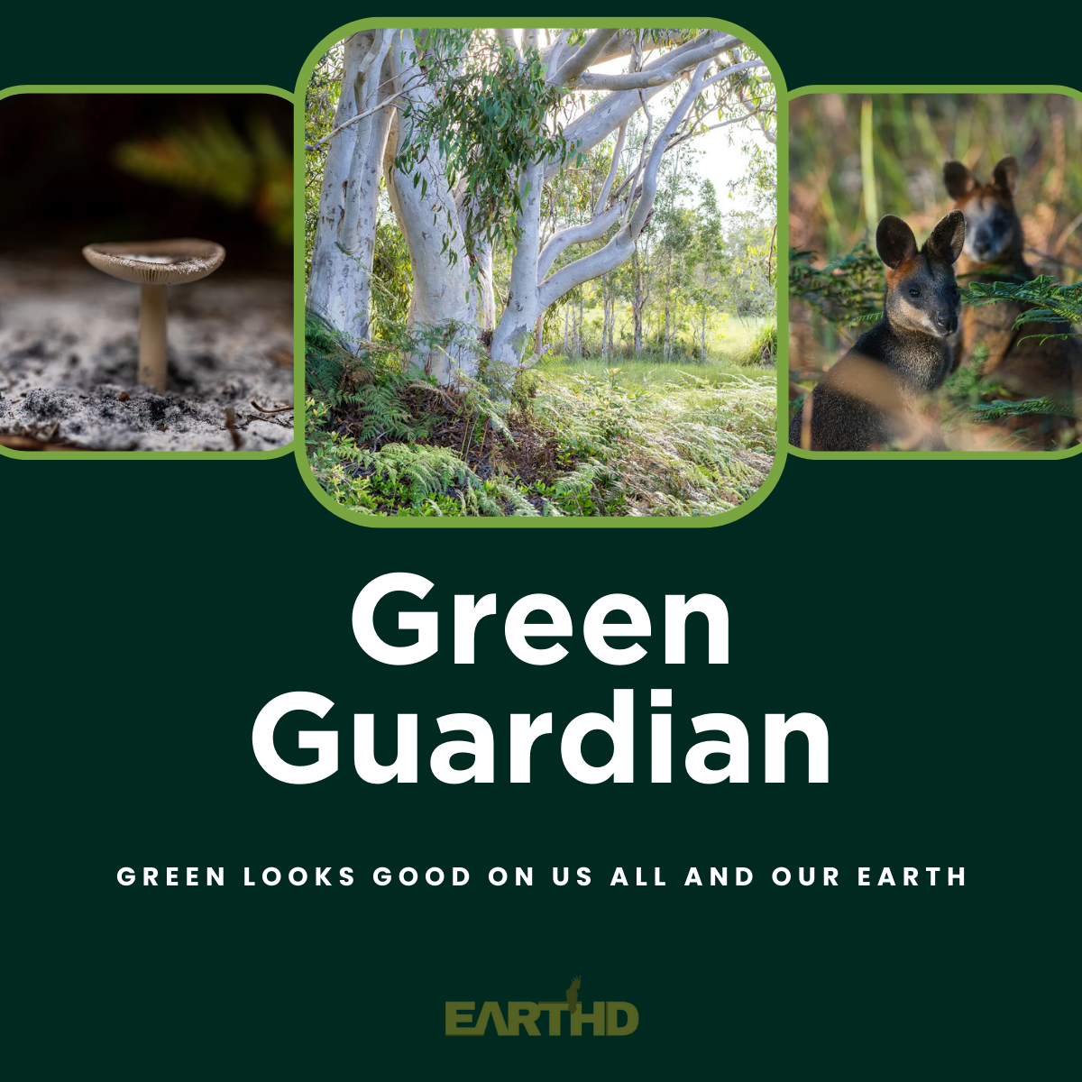 EARTHD Member | Green Guardian