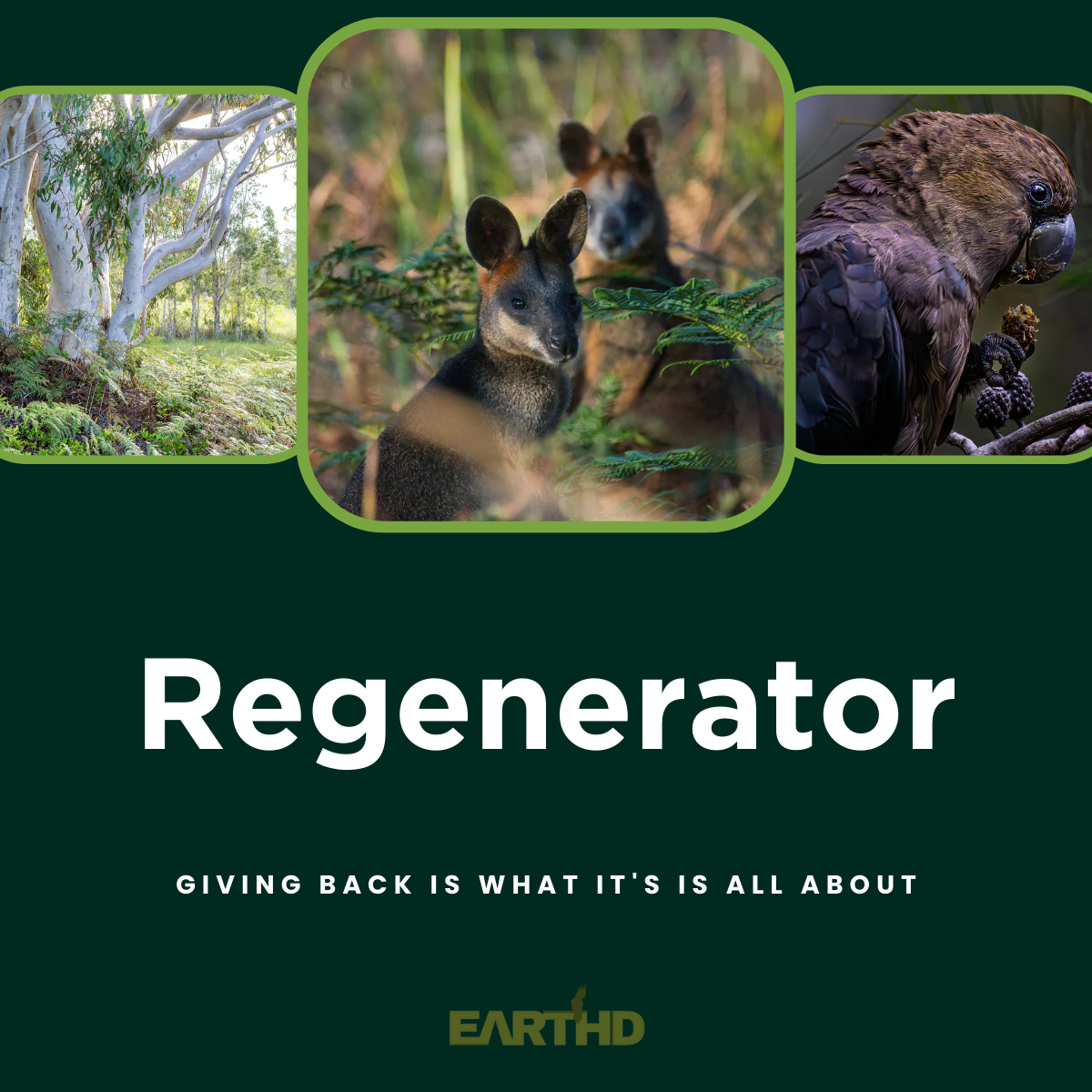 EARTHD Member | Regenerator