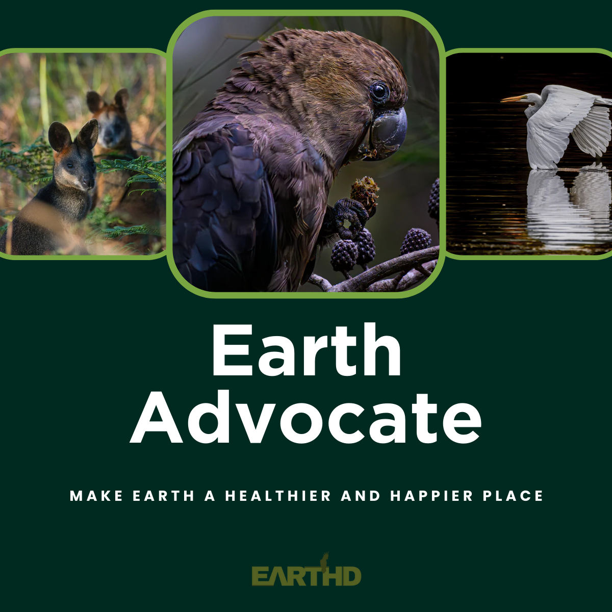 EARTHD Member | Earth Advocate