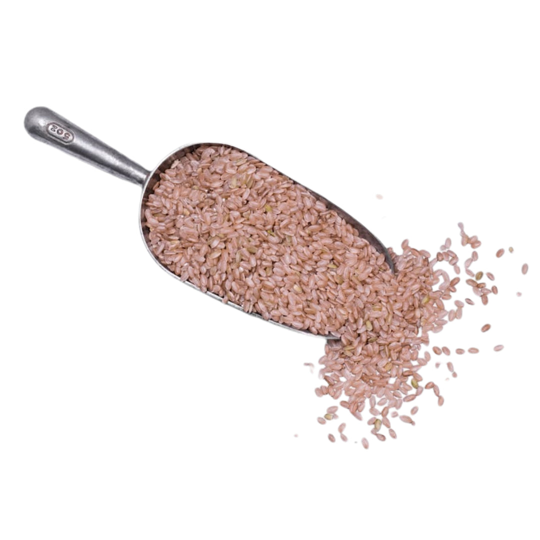 SO Biodynamic Short Grain Brown Rice Organic 1kg