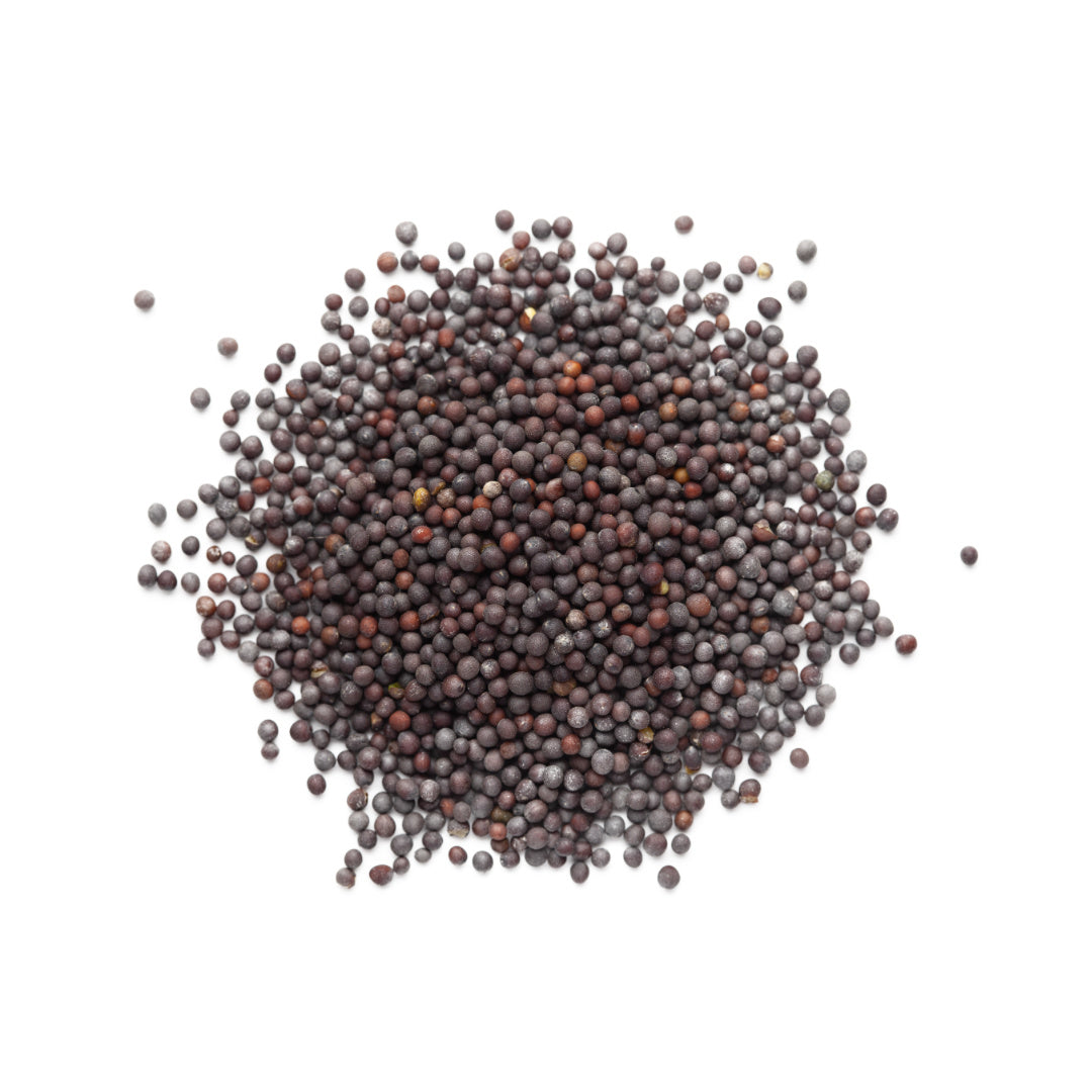 SO Organic Black Mustard Seeds 250g
