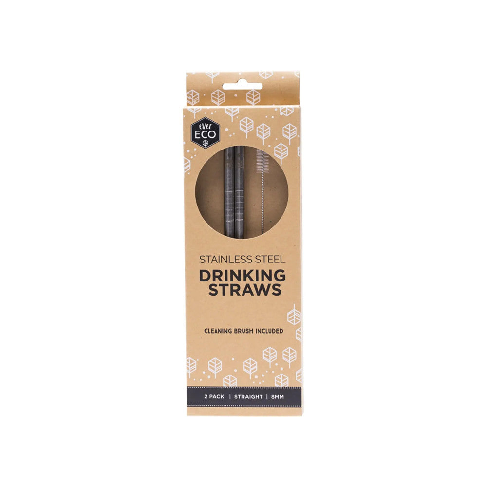 Ever Eco Stainless Steel Straws Straight 2pk