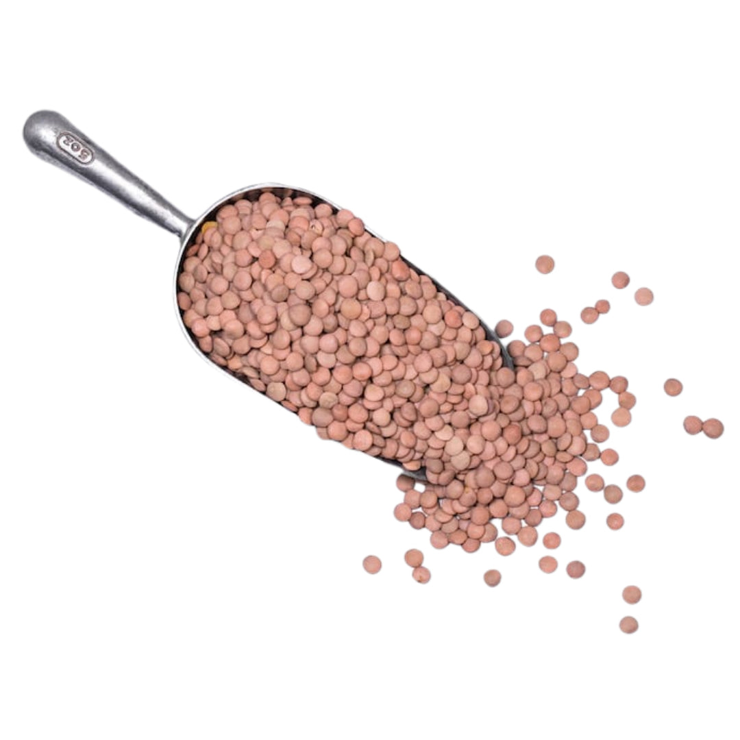 SO Biodynamic Australian Green Lentils 10kg