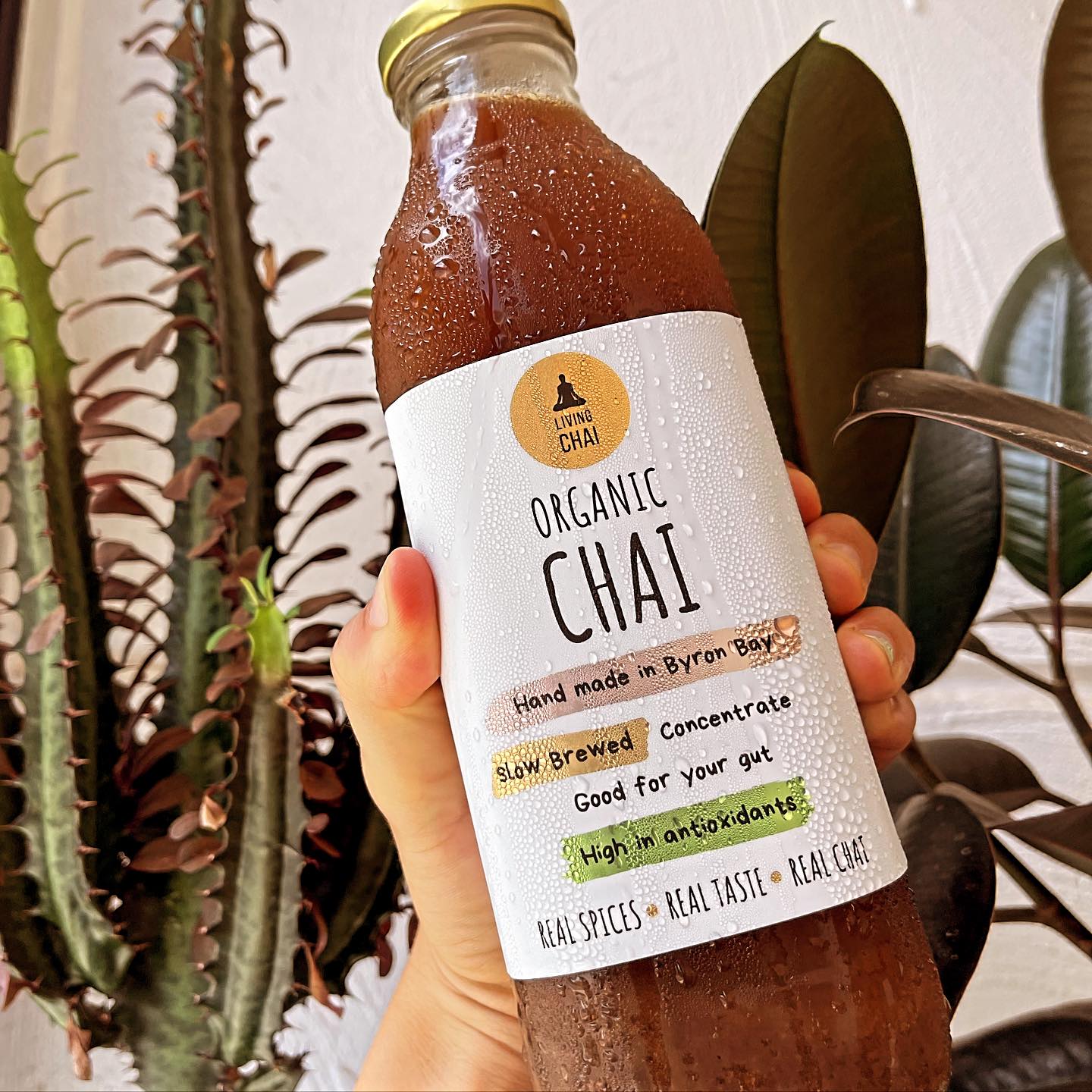 Living Chai Instant Organic Chai Concentrate 750ml