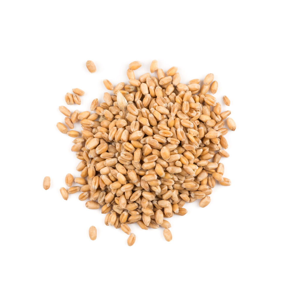 Organic Spelt Grain