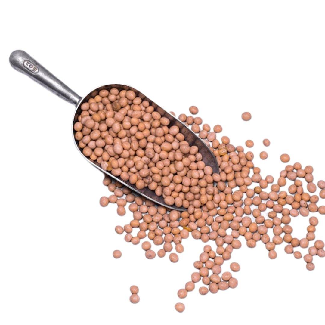 Biodynamic Soybeans Organic - Santos Organics