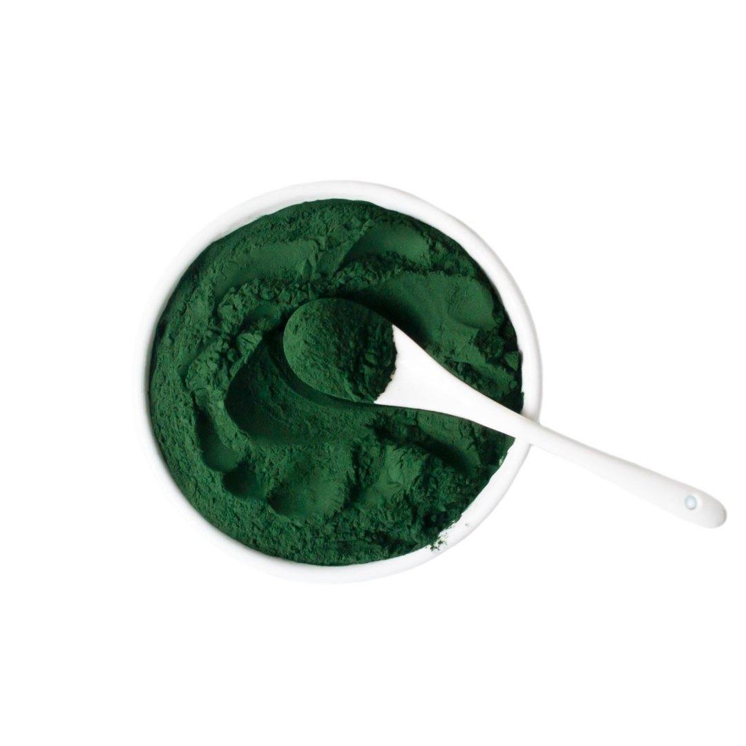Broken Cell Chlorella Powder Morlife 1kg - Santos Organics