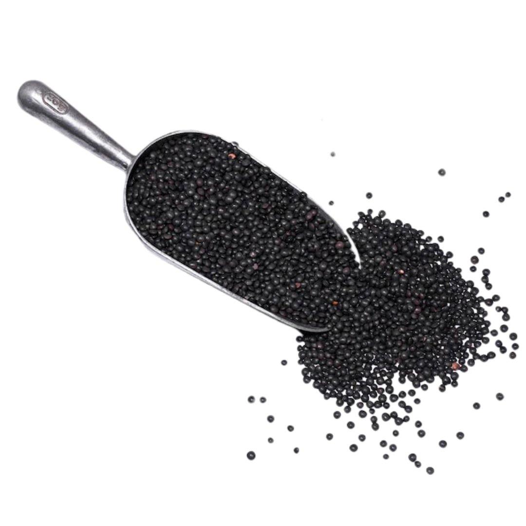 Organic Black Beluga Lentils - Santos Organics