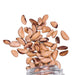 Organic Brazil Nuts - Santos Organics