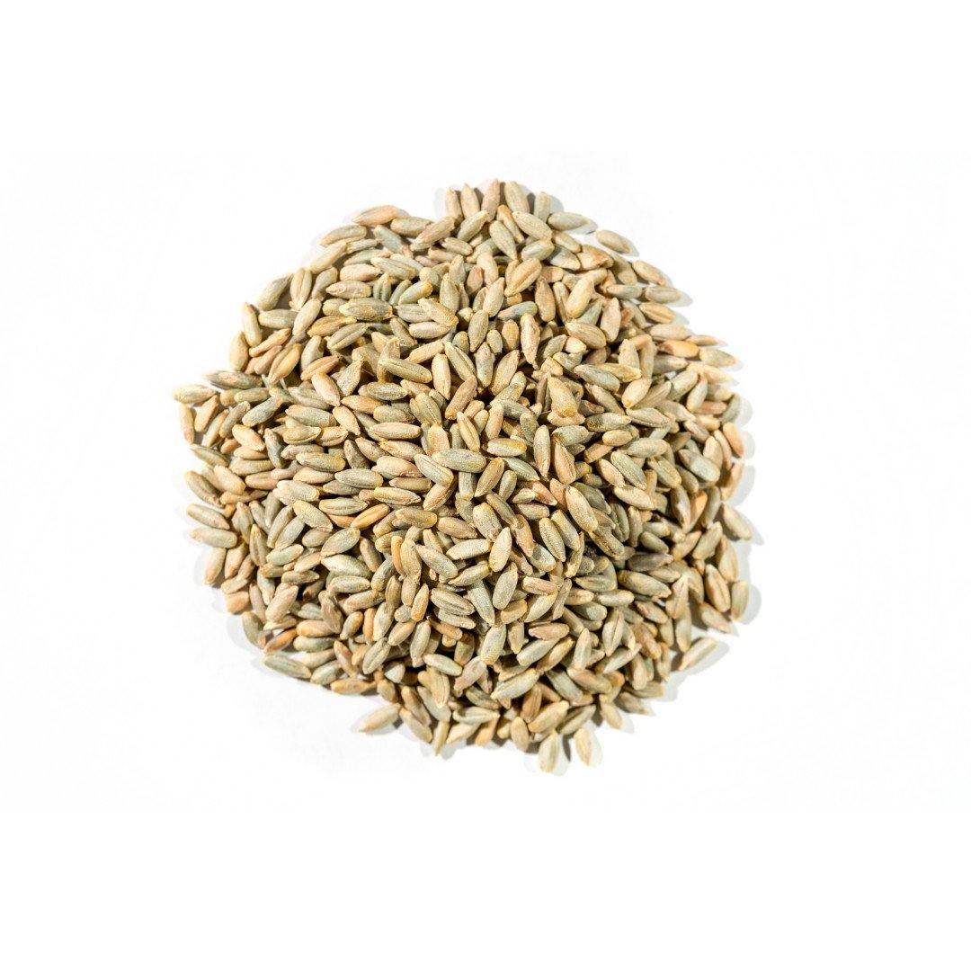 Organic Rye Grain - Santos Organics